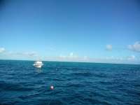 Great day of scuba diving in Key Largo with Rainbow Reef on hole in the wall tropical serenity 2018 11 14 r7467 1