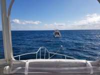 Great day of scuba diving in Key Largo with Rainbow Reef on hole in the wall tropical serenity 2018 11 18 r7486 1
