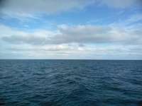 Great day of scuba diving in Key Largo with Rainbow Reef on molasses deep tropical legend 2018 11 28 r7551 1