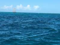 Great day of scuba diving in Key Largo with Rainbow Reef on molasses reef tropical legend 2018 11 08 r7436 1