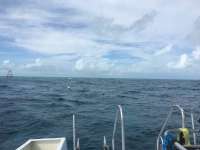 Great day of scuba diving in Key Largo with Rainbow Reef on molasses reef tropical odyssey 2018 11 13 r7464 1