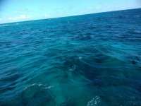 Great day of scuba diving in Key Largo with Rainbow Reef on molasses reef tropical serenity 2018 11 12 r7461 1