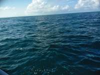 Great day of scuba diving in Key Largo with Rainbow Reef on permit ledges tropical serenity 2018 11 25 r7536 1