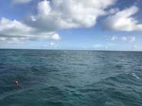Great day of scuba diving in Key Largo with Rainbow Reef on pickle barrel wreck tropical legend 2018 11 02 r7400 1