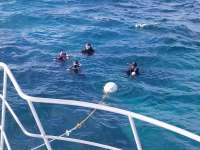 Great day of scuba diving in Key Largo with Rainbow Reef on sand island tropical adventure 2018 11 24 r7524 1