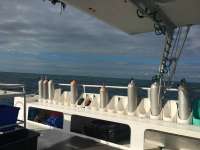 Great day of scuba diving in Key Largo with Rainbow Reef on snapper ledge tropical legend 2018 11 18 r7489 1