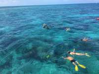 Great day of scuba diving in Key Largo with Rainbow Reef on snapper ledge tropical legend 2018 11 27 r7546 1