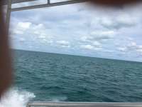 Great day of scuba diving in Key Largo with Rainbow Reef on snapper ledge tropical legend 2018 11 30 r7559 1