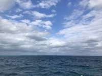 Great day of scuba diving in Key Largo with Rainbow Reef on snapper ledge tropical serenity 2018 11 17 r7481 1