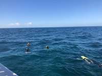 Great day of scuba diving in Key Largo with Rainbow Reef on snapper ledge tropical serenity 2018 11 24 r7530 1