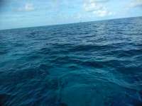 Great day of scuba diving in Key Largo with Rainbow Reef on spanish anchor tropical adventure 2018 11 08 r7437 1