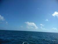 Great day of scuba diving in Key Largo with Rainbow Reef on spiegel grove tropical adventure 2018 11 08 r7434 1