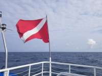Great day of scuba diving in Key Largo with Rainbow Reef on spiegel grove tropical adventure 2018 11 24 r7528 1