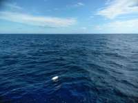 Great day of scuba diving in Key Largo with Rainbow Reef on spiegel grove tropical destiny 2018 11 19 r7491 1