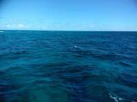 Great day of scuba diving in Key Largo with Rainbow Reef on spiegel grove tropical legend 2018 11 20 r7500 1