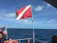 Great day of scuba diving in Key Largo with Rainbow Reef on spiegel grove tropical odyssey 2018 11 06 r7427 1
