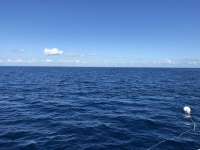 Great day of scuba diving in Key Largo with Rainbow Reef on spiegel grove tropical odyssey 2018 11 10 r7447 1