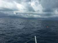 Great day of scuba diving in Key Largo with Rainbow Reef on spiegel grove tropical odyssey 2018 11 11 r7458 1