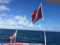 Great day of scuba diving in Key Largo with Rainbow Reef on spiegel grove tropical odyssey 2018 11 13 r7463 1