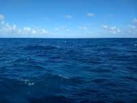 Great day of scuba diving in Key Largo with Rainbow Reef on spiegel grove tropical odyssey 2018 11 15 r7470 1