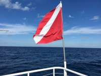 Great day of scuba diving in Key Largo with Rainbow Reef on uscgc duane tropical adventure 2018 11 19 r7492 1
