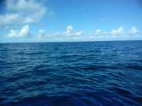 Great day of scuba diving in Key Largo with Rainbow Reef on uscgc duane tropical destiny 2018 11 27 r7547 1