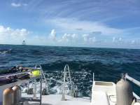 Great day of scuba diving in Key Largo with Rainbow Reef on winch hole tropical odyssey 2018 11 05 r7425 1