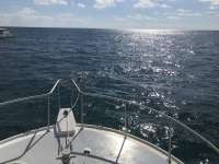 Great day of scuba diving in Key Largo with Rainbow Reef on benwood wreck santana 2018 10 14 r7287 1
