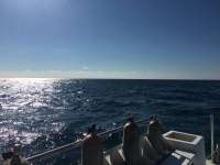 Great day of scuba diving in Key Largo with Rainbow Reef on benwood wreck tropical legend 2018 10 21 r7320 1