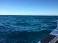Great day of scuba diving in Key Largo with Rainbow Reef on benwood wreck tropical legend 2018 10 28 r7370 1