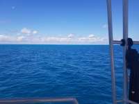 Great day of scuba diving in Key Largo with Rainbow Reef on benwood wreck tropical serenity 2018 10 26 r7350 1