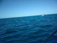 Great day of scuba diving in Key Largo with Rainbow Reef on benwood wreck tropical voyager 2018 10 21 r7322 1