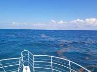Great day of scuba diving in Key Largo with Rainbow Reef on christmastree cave tropical legend 2018 10 30 r7387 1