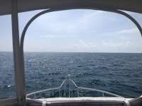 Great day of scuba diving in Key Largo with Rainbow Reef on christmastree cave tropical serenity 2018 10 11 r7259 1
