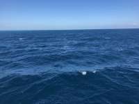 Great day of scuba diving in Key Largo with Rainbow Reef on drift french tropical adventure 2018 10 29 r7379 1