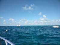 Great day of scuba diving in Key Largo with Rainbow Reef on drift molasses tropical explorer 2018 10 14 r7289 1