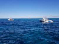 Great day of scuba diving in Key Largo with Rainbow Reef on eagle ray alley tropical adventure 2018 10 20 r7307 1