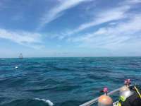 Great day of scuba diving in Key Largo with Rainbow Reef on eagle ray alley tropical legend 2018 10 10 r7253 1