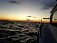 Great day of scuba diving in Key Largo with Rainbow Reef on eagle ray alley tropical serenity 2018 10 27 r7368 1