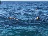 Great day of scuba diving in Key Largo with Rainbow Reef on fire coral cave tropical odyssey 2018 10 25 r7342 1