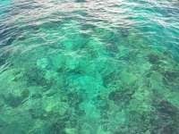 Great day of scuba diving in Key Largo with Rainbow Reef on french deep tropical adventure 2018 10 13 r7281 1