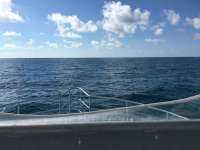Great day of scuba diving in Key Largo with Rainbow Reef on french reef tropical odyssey 2018 10 14 r7288 1