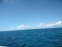 Great day of scuba diving in Key Largo with Rainbow Reef on french twist tropical odyssey 2018 10 27 r7364 1