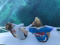 Great day of scuba diving in Key Largo with Rainbow Reef on hole in the wall tropical serenity 2018 10 13 r7275 1