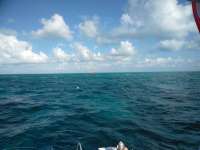 Great day of scuba diving in Key Largo with Rainbow Reef on hole in the wall tropical voyager 2018 10 06 r7231 1