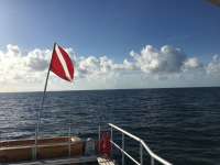 Great day of scuba diving in Key Largo with Rainbow Reef on molasses reef santana 2018 10 24 r7335 1