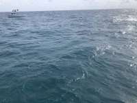 Great day of scuba diving in Key Largo with Rainbow Reef on molasses reef tropical adventure 2018 10 06 r7241 1