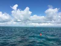Great day of scuba diving in Key Largo with Rainbow Reef on molasses reef tropical adventure 2018 10 27 r7358 1