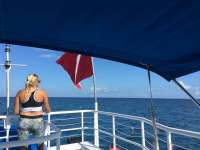 Great day of scuba diving in Key Largo with Rainbow Reef on molasses reef tropical adventure 2018 10 27 r7366 1
