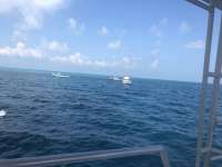 Great day of scuba diving in Key Largo with Rainbow Reef on molasses reef tropical odyssey 2018 10 12 r7270 1